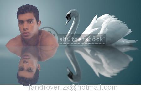 notre ombre dans l eau